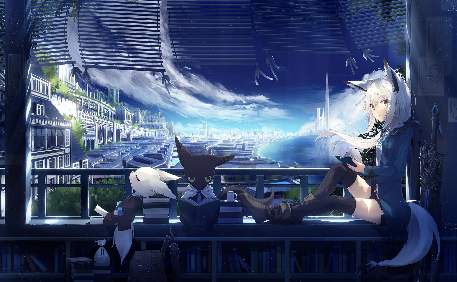 一段不算回应的回应